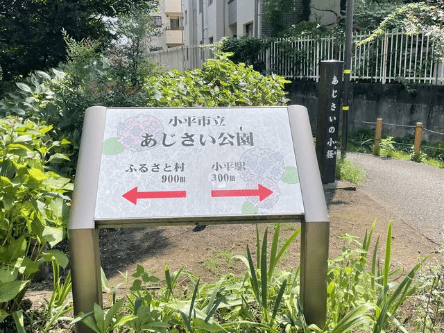 小平市 あじさい公園