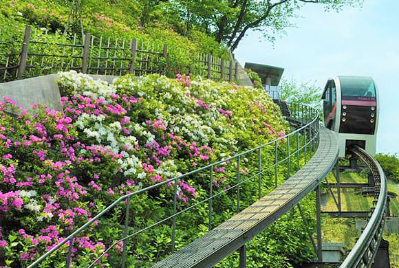 飛鳥山公園