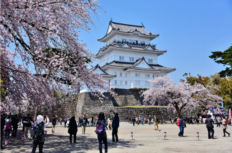 桜まつり