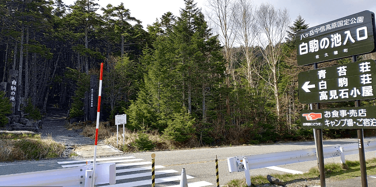 白駒池遊歩道入口 
