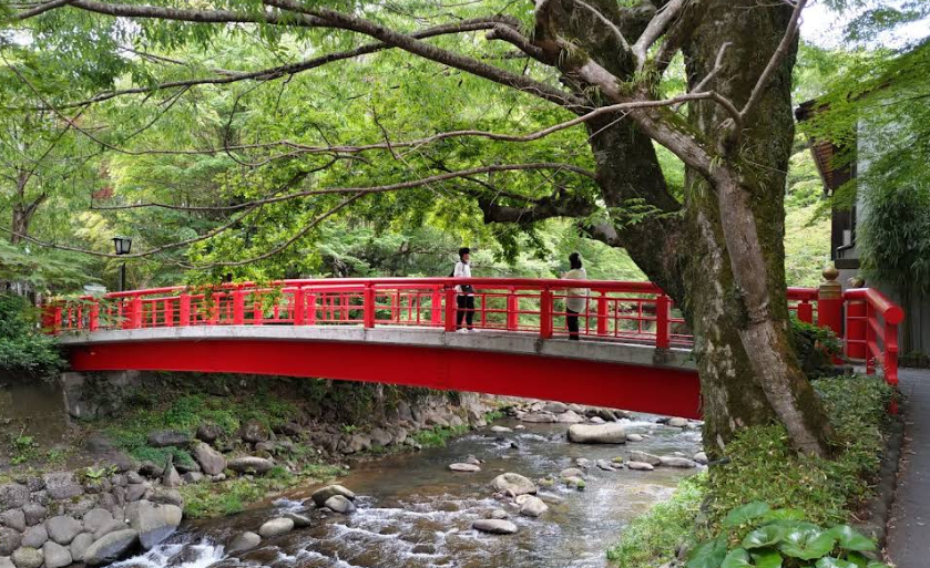 桂橋