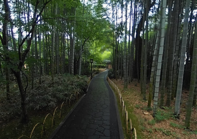 竹林の小径