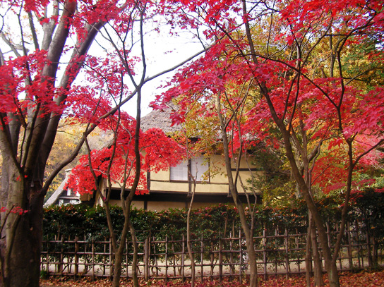 紅葉と旧佐々木邸