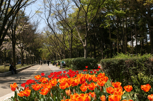 靱公園