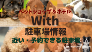 ペットサロン＆ホテルWithアイキャッチ画像